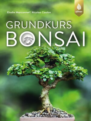 cover image of Grundkurs Bonsai